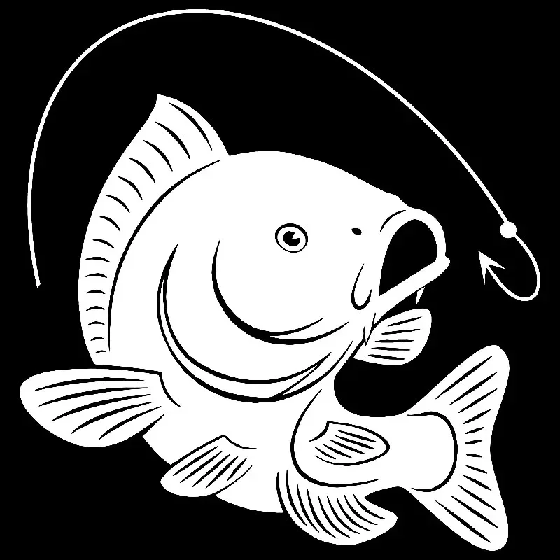 Karpfen Angelhaken Aufkleber D – Fishing Hook Bewertung und Preis